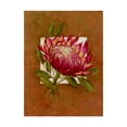 thumbnail image 1 of Trademark Fine Art ' Tropical Squares 1' Canvas Art by Barbara Mock, 1 of 3