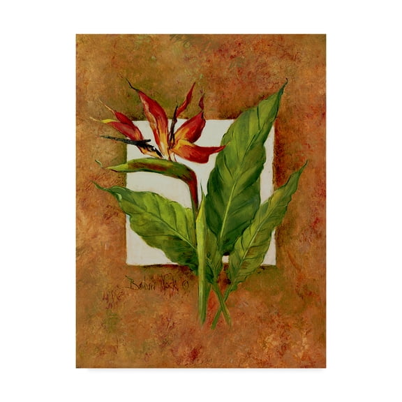 Trademark Fine Art ' Tropical Squares 2' Canvas Art by Barbara Mock