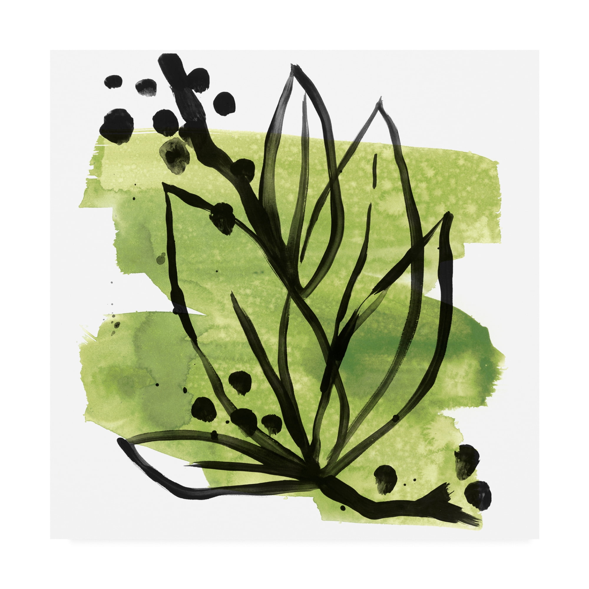 18x18 Green and Black Botanical Canvas Art