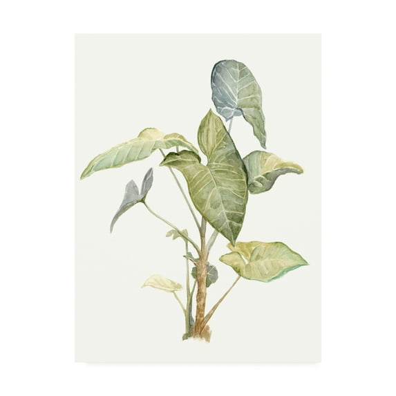 Trademark Fine Art 'Tropical Watercolor Leaves IV' Canvas Art by Megan Meagher