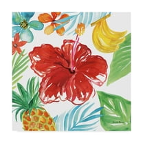 Trademark Fine Art 'Tropicana V' Canvas Art by Farida Zaman