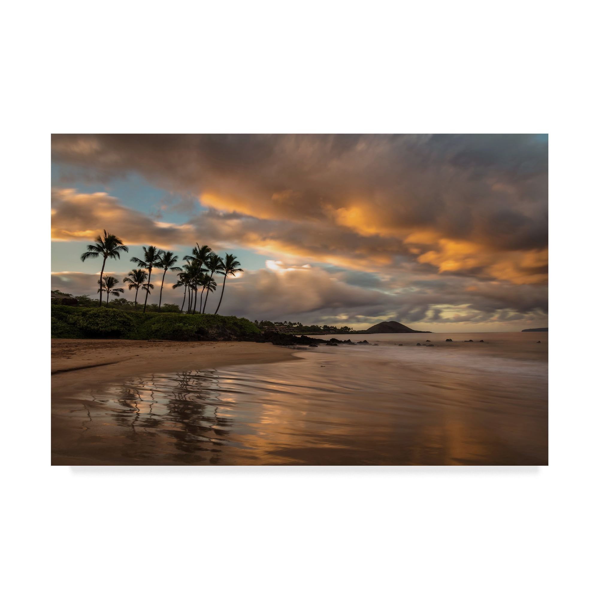 Trademark Fine Art 'Tropics Sunrise' Canvas Art by Pierre Leclerc