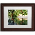 thumbnail image 1 of Trademark Fine Art "Trumpet Vine by a Pool" Canvas Art by Kurt Shaffer, White Matte, Wood Frame, 1 of 1