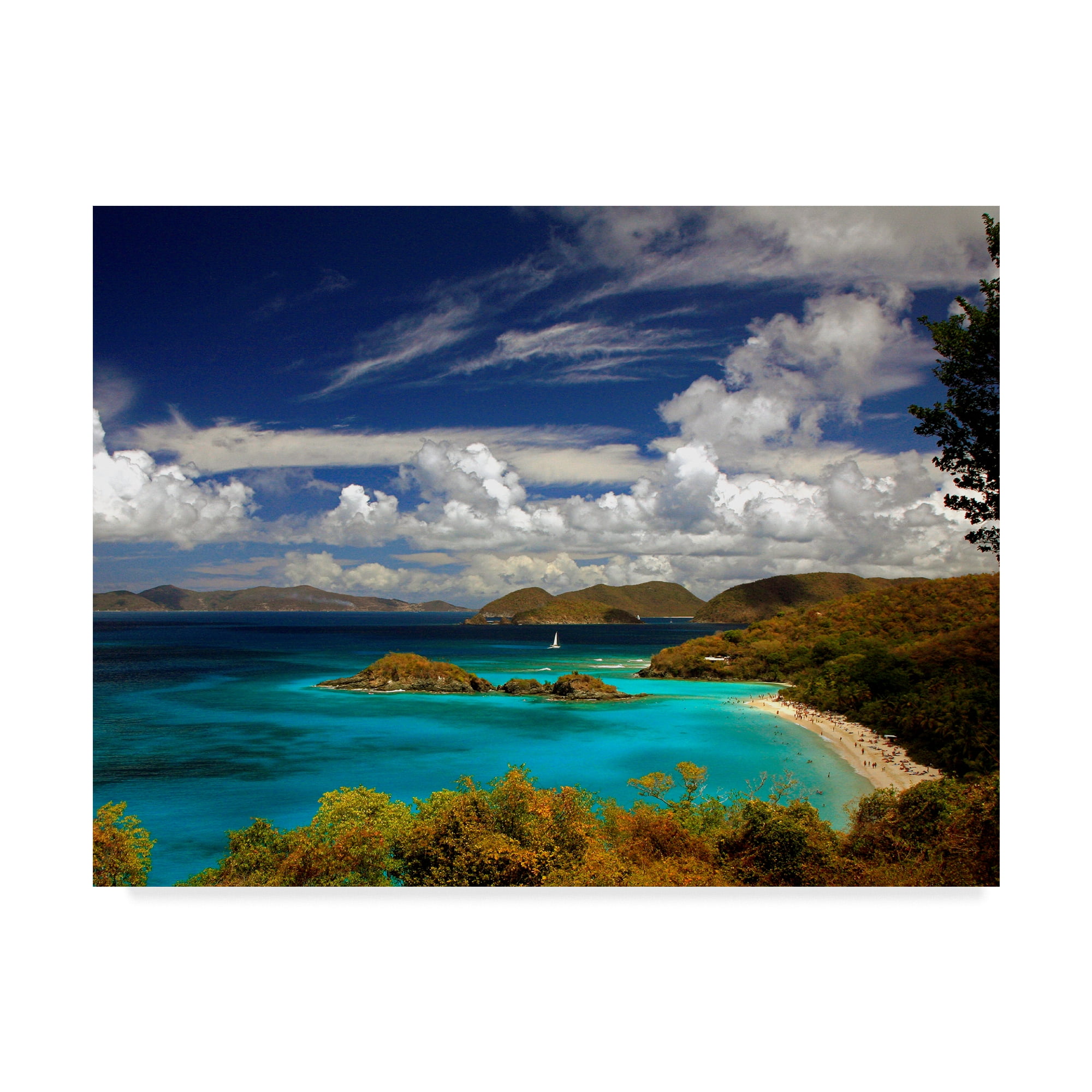Trademark Fine Art 'Trunk Bay' Canvas Art by J.D. Mcfarlan