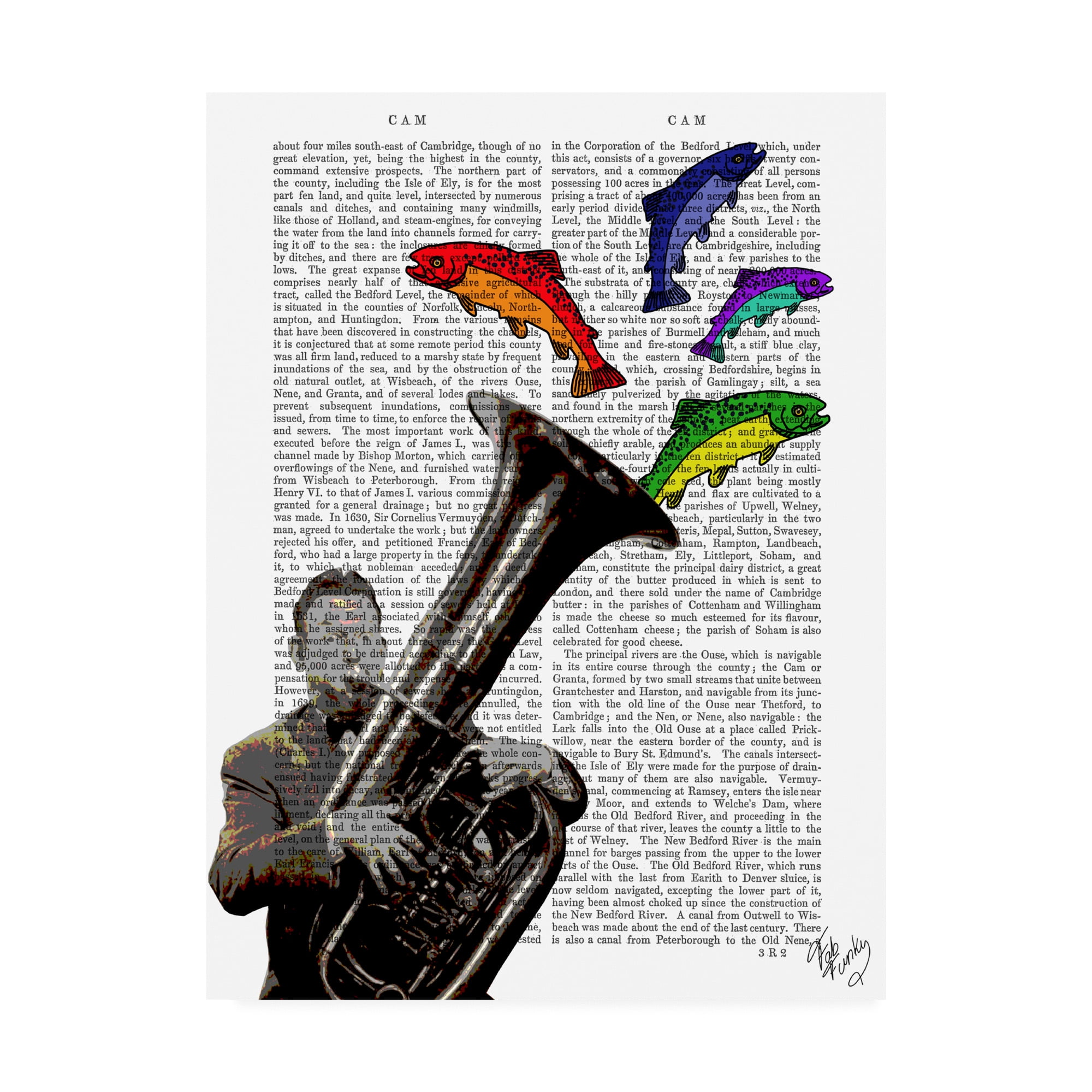 Trademark Fine Art 'Tuba And Fish' Canvas Art by Fab Funky