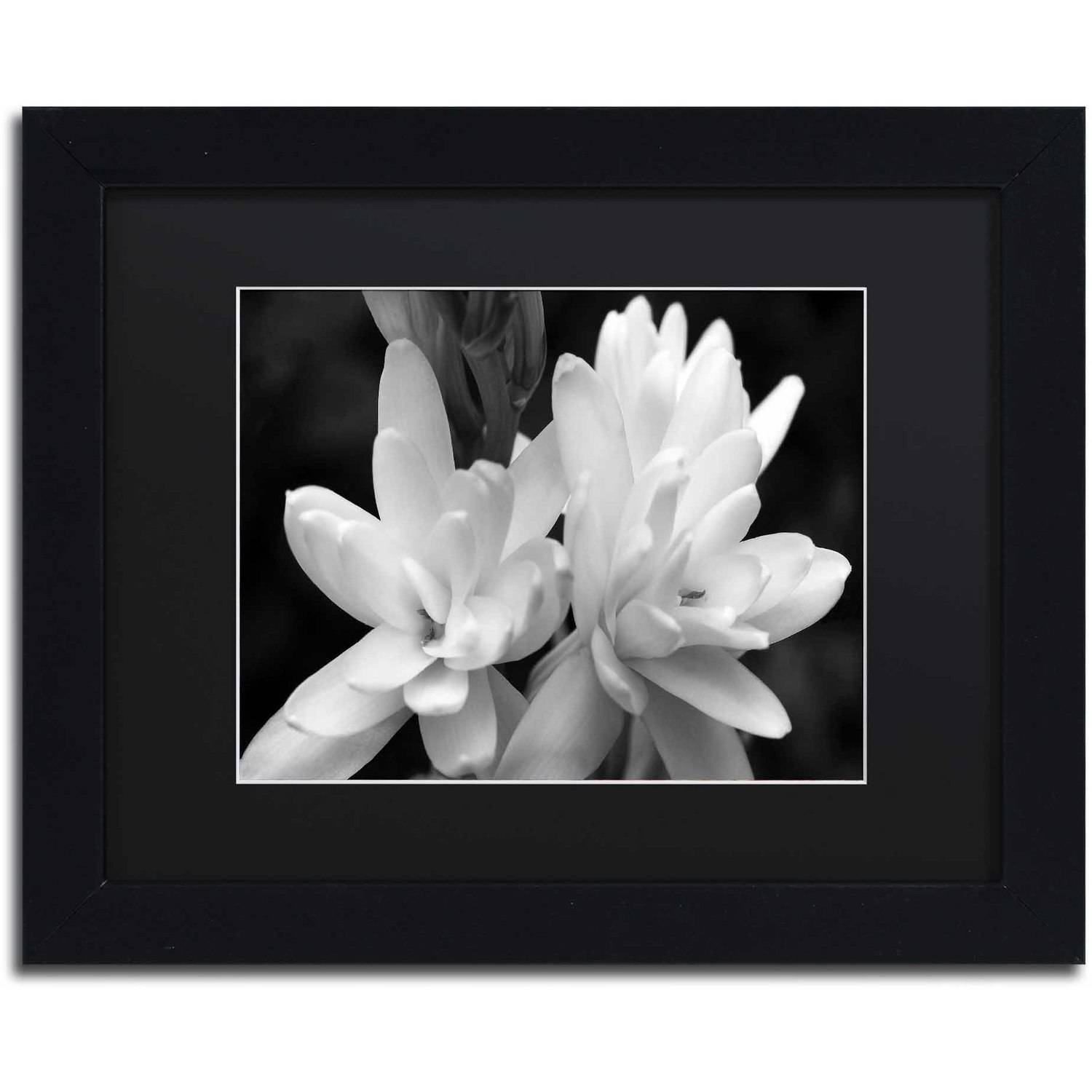 Trademark Fine Art "Tuber Rose in Black and White" Canvas Art by Kurt Shaffer, Black Matte, Black Frame