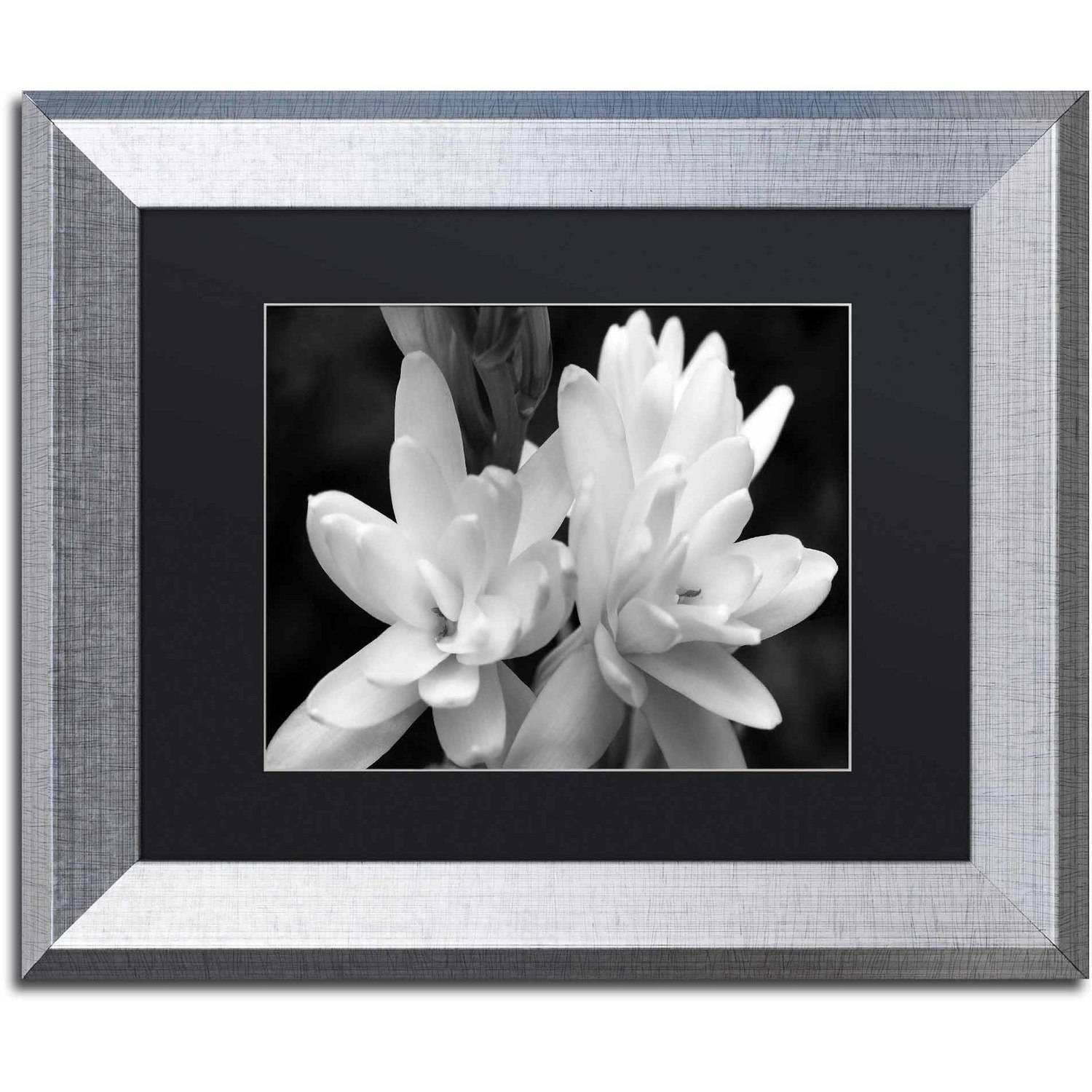 Trademark Fine Art "Tuber Rose in Black and White" Canvas Art by Kurt Shaffer, Black Matte, Silver Frame