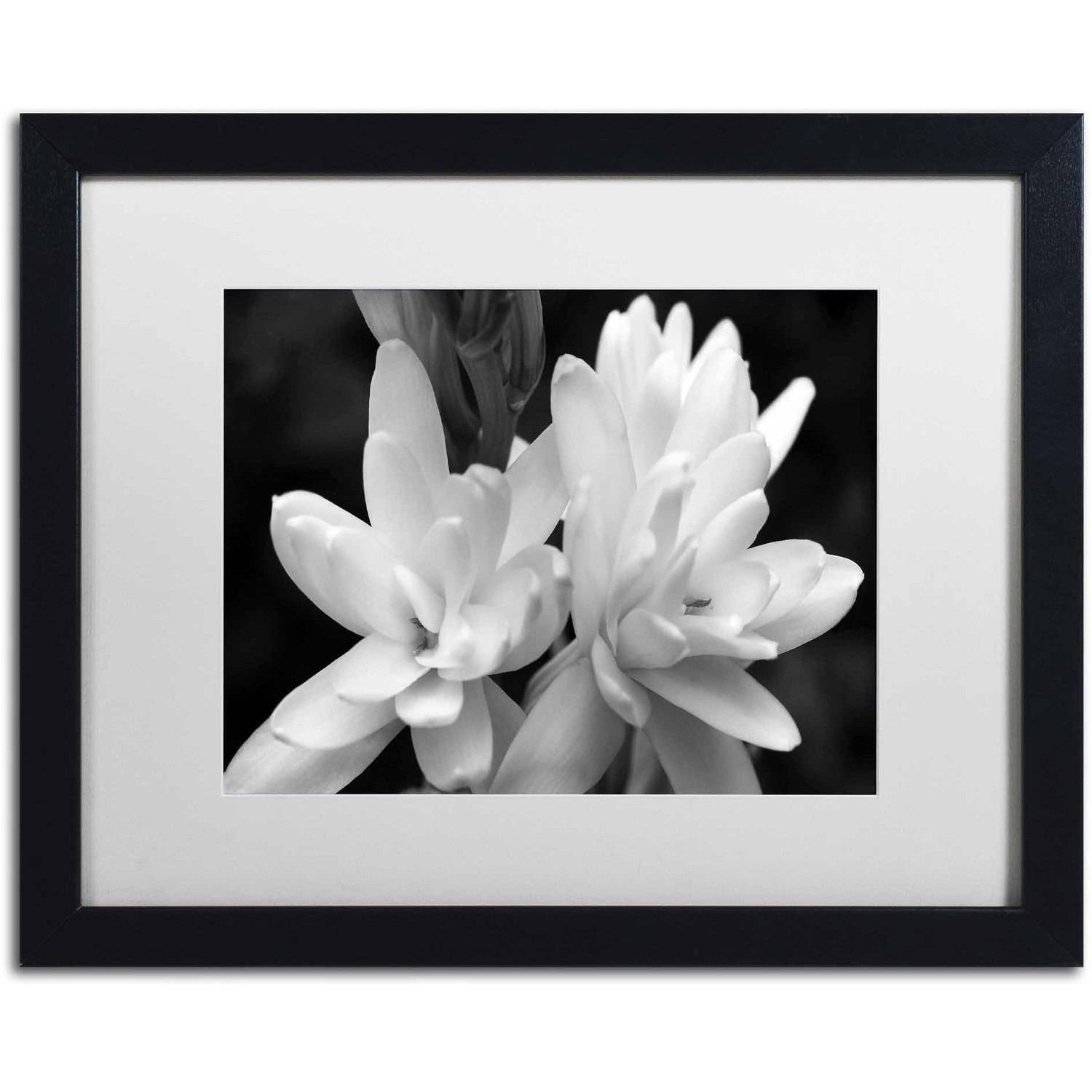 Trademark Fine Art "Tuber Rose in Black and White" Canvas Art by Kurt Shaffer, White Matte, Black Frame