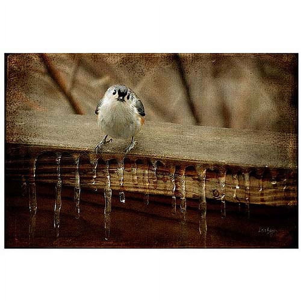 Trademark Fine Art "Tufted Titmouse in Winter" Canvas Art by Lois Bryan, 16x24