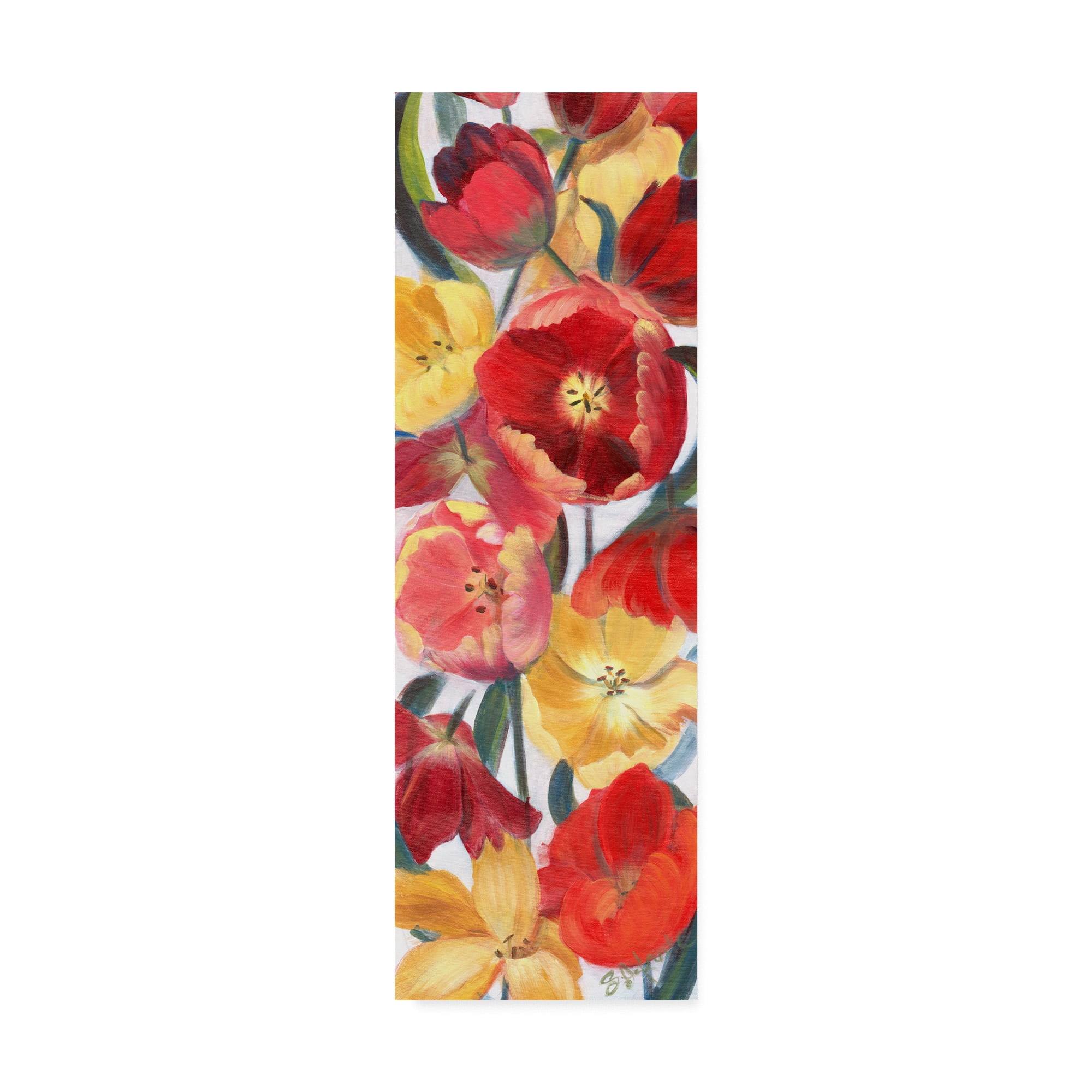 Trademark Fine Art 'Tulip Array Panel II' Canvas Art by Sandra Iafrate