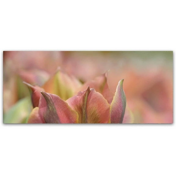 Trademark Fine Art 'Tulip "Artist" Scape' Canvas Art by Cora Niele