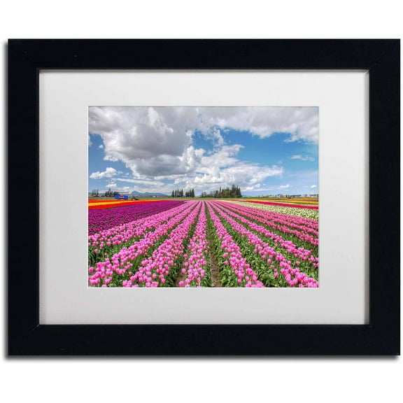 Trademark Fine Art "Tulip Field" Canvas Art by Pierre Leclerc, White Matte/Black Frame