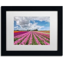 Trademark Fine Art "Tulip Field" Canvas Art by Pierre Leclerc, White Matte/Black Frame