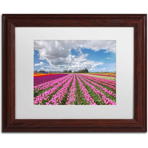 Trademark Fine Art "Tulip Field" Canvas Art by Pierre Leclerc, White Matte/Wood Frame