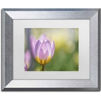 Trademark Fine Art 'Tulip ?Lilac Wonder'' Canvas Art by Cora Niele, White Matte, Silver Frame