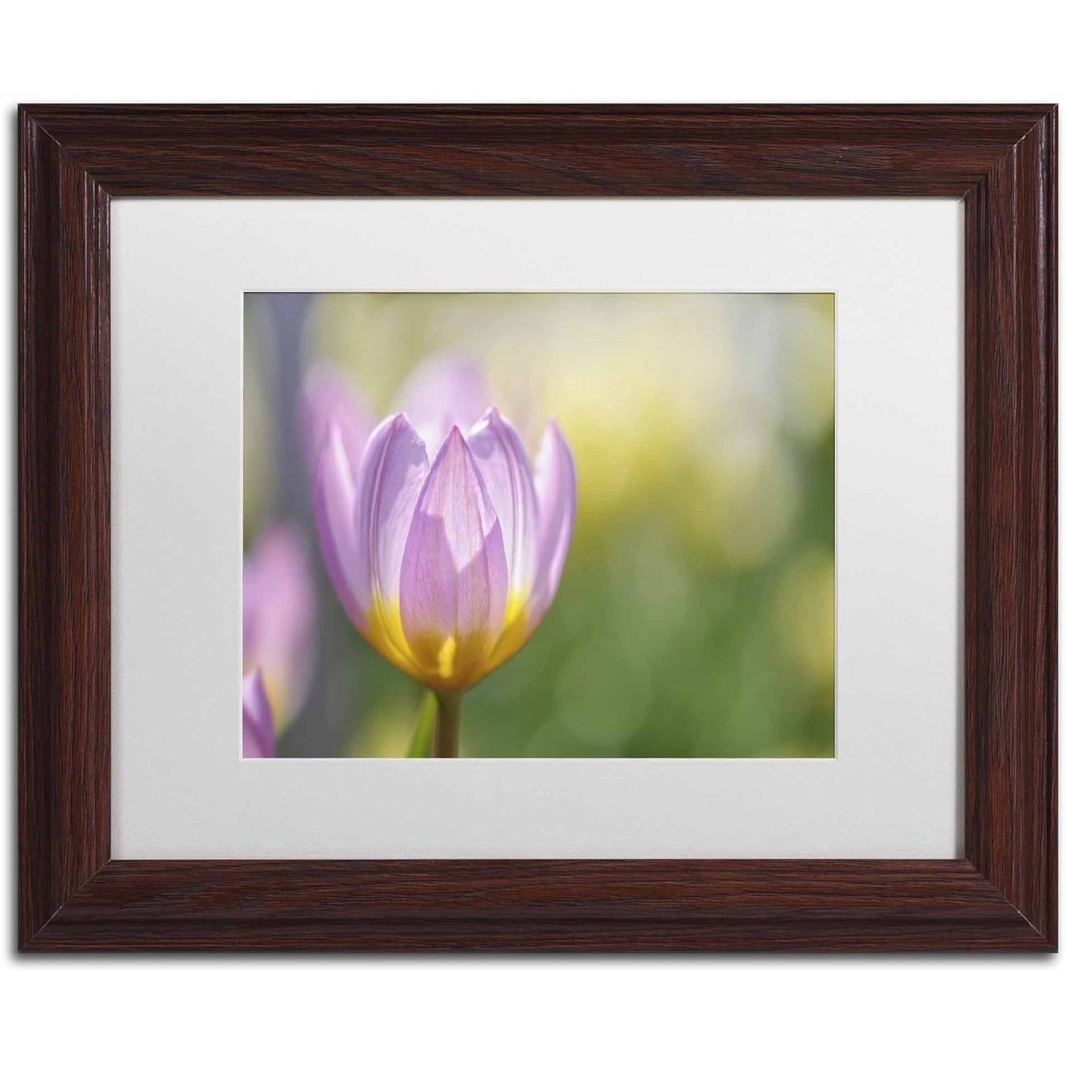 Trademark Fine Art 'Tulip ?Lilac Wonder'' Canvas Art by Cora Niele, White Matte, Wood Frame