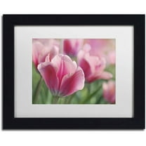 Trademark Fine Art 'Tulip Mirella Pink' Canvas Art by Cora Niele, White Matte, Black Frame