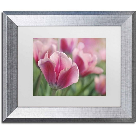 Trademark Fine Art 'Tulip Mirella Pink' Canvas Art by Cora Niele, White Matte, Silver Frame