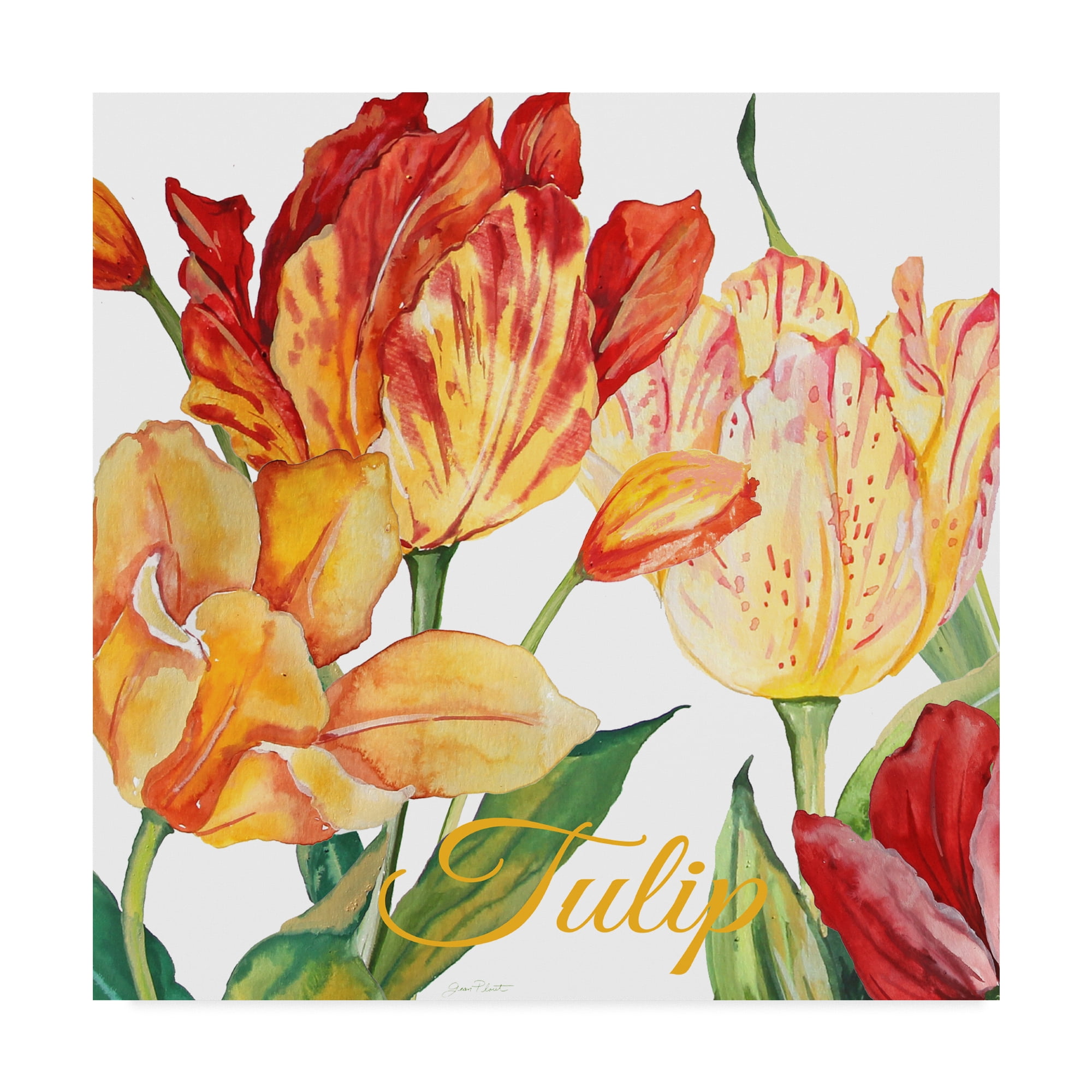 Trademark Fine Art 'Tulip Red Orange' Canvas Art by Jean Plout