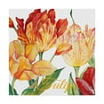 thumbnail image 1 of Trademark Fine Art 'Tulip Red Orange' Canvas Art by Jean Plout, 1 of 3