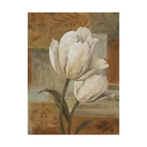 Trademark Fine Art 'Tulip Waltz III' Canvas Art by Lisa Audit