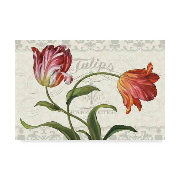 Trademark Fine Art 'Tulipa Botanica I Cream' Canvas Art by Lisa Audit