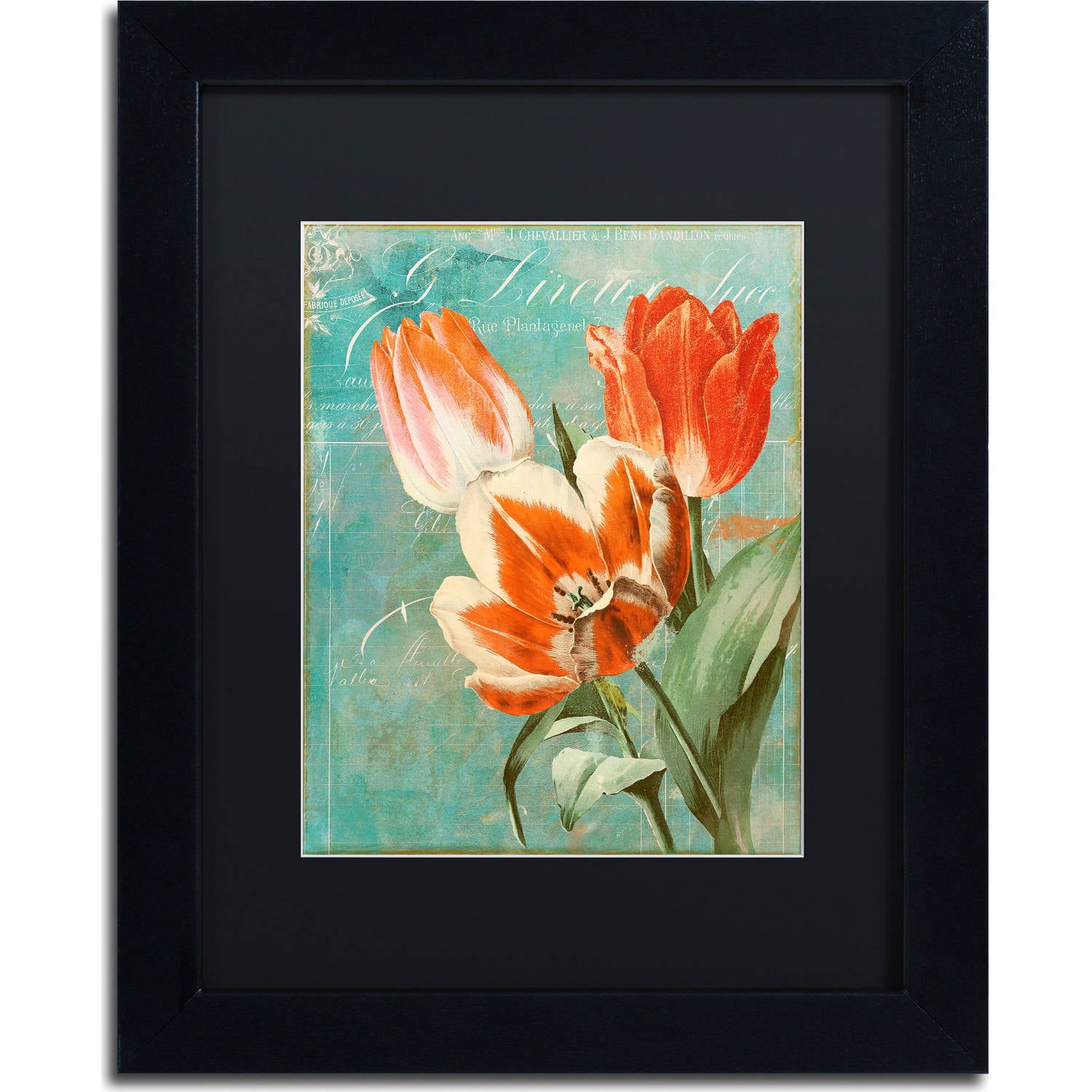 Trademark Fine Art "Tulips Ablaze II" Canvas Art by Color Bakery, Black Matte, Black Frame
