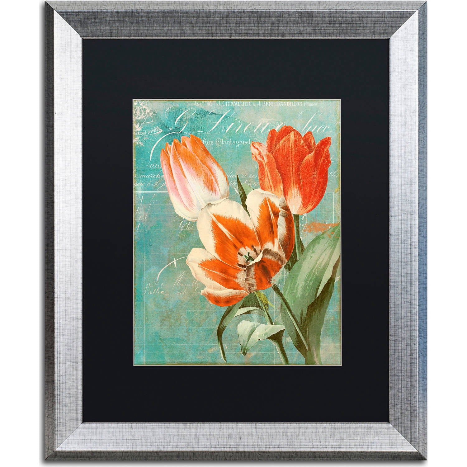Trademark Fine Art "Tulips Ablaze II" Canvas Art by Color Bakery, Black Matte, Silver Frame