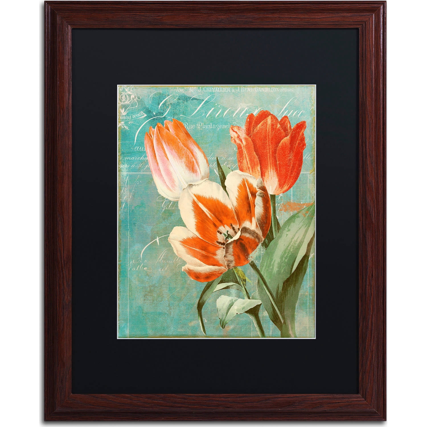 Trademark Fine Art "Tulips Ablaze II" Canvas Art by Color Bakery, Black Matte, Wood Frame