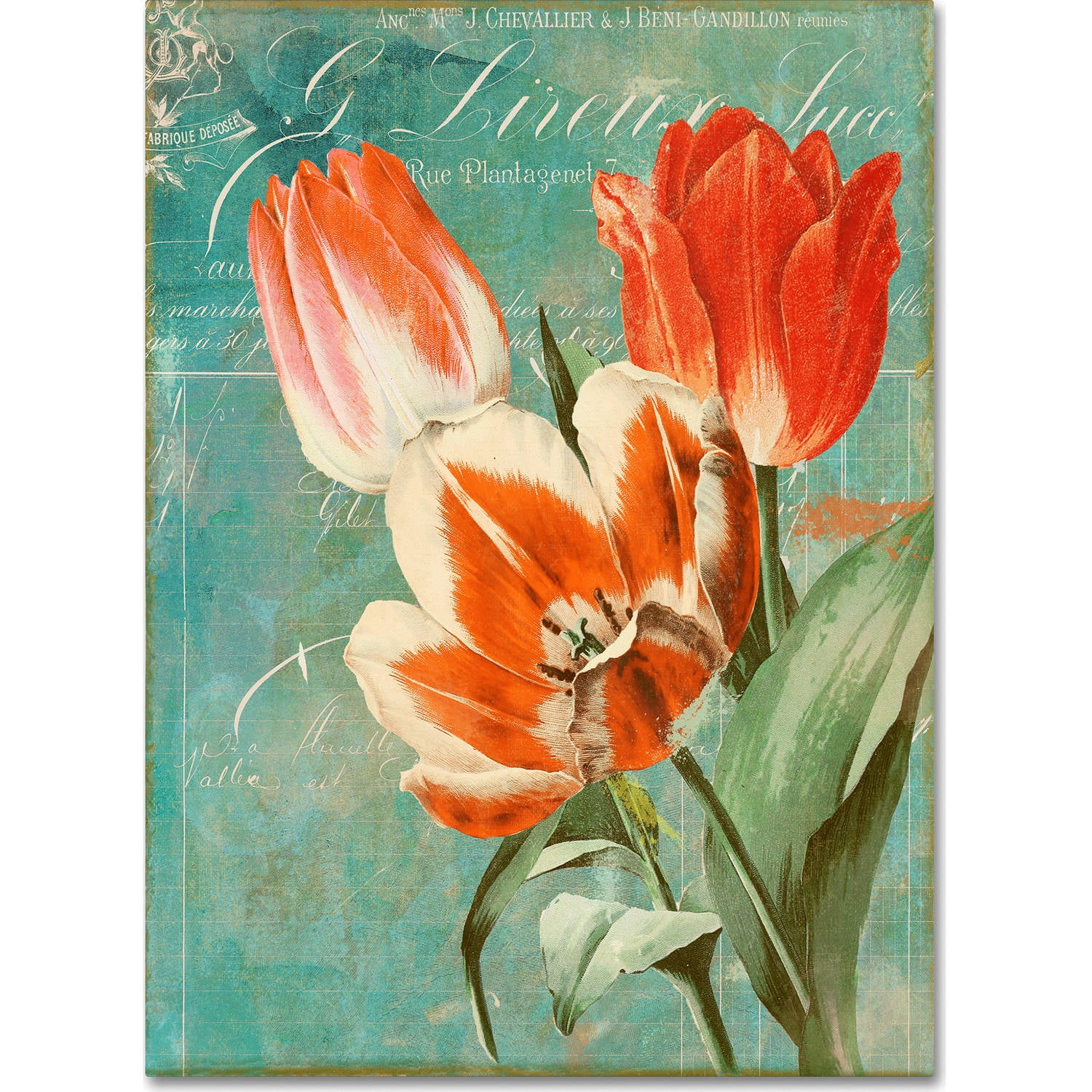 Trademark Fine Art "Tulips Ablaze II" Canvas Art by Color Bakery