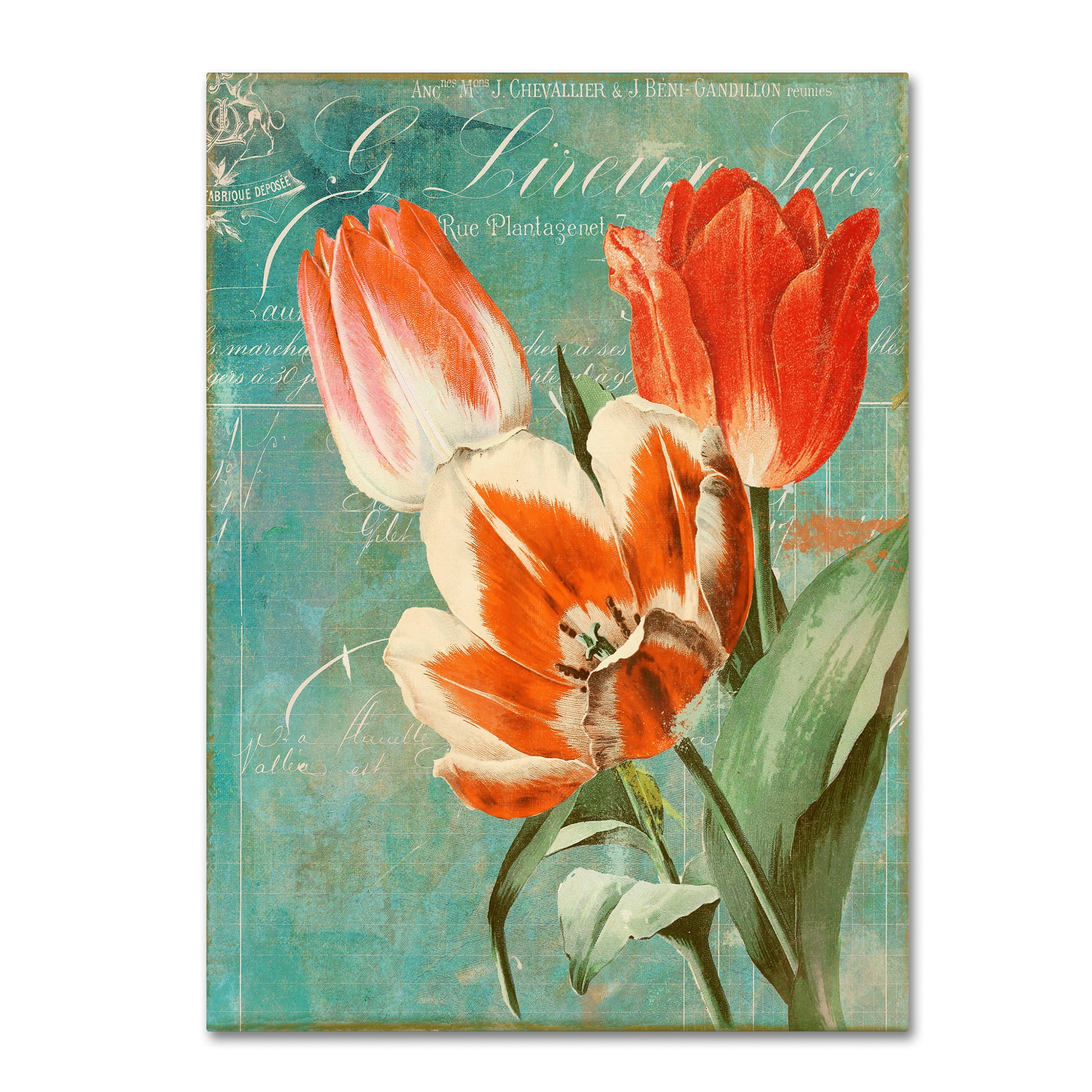 Trademark Fine Art "Tulips Ablaze II" Canvas Art by Color Bakery