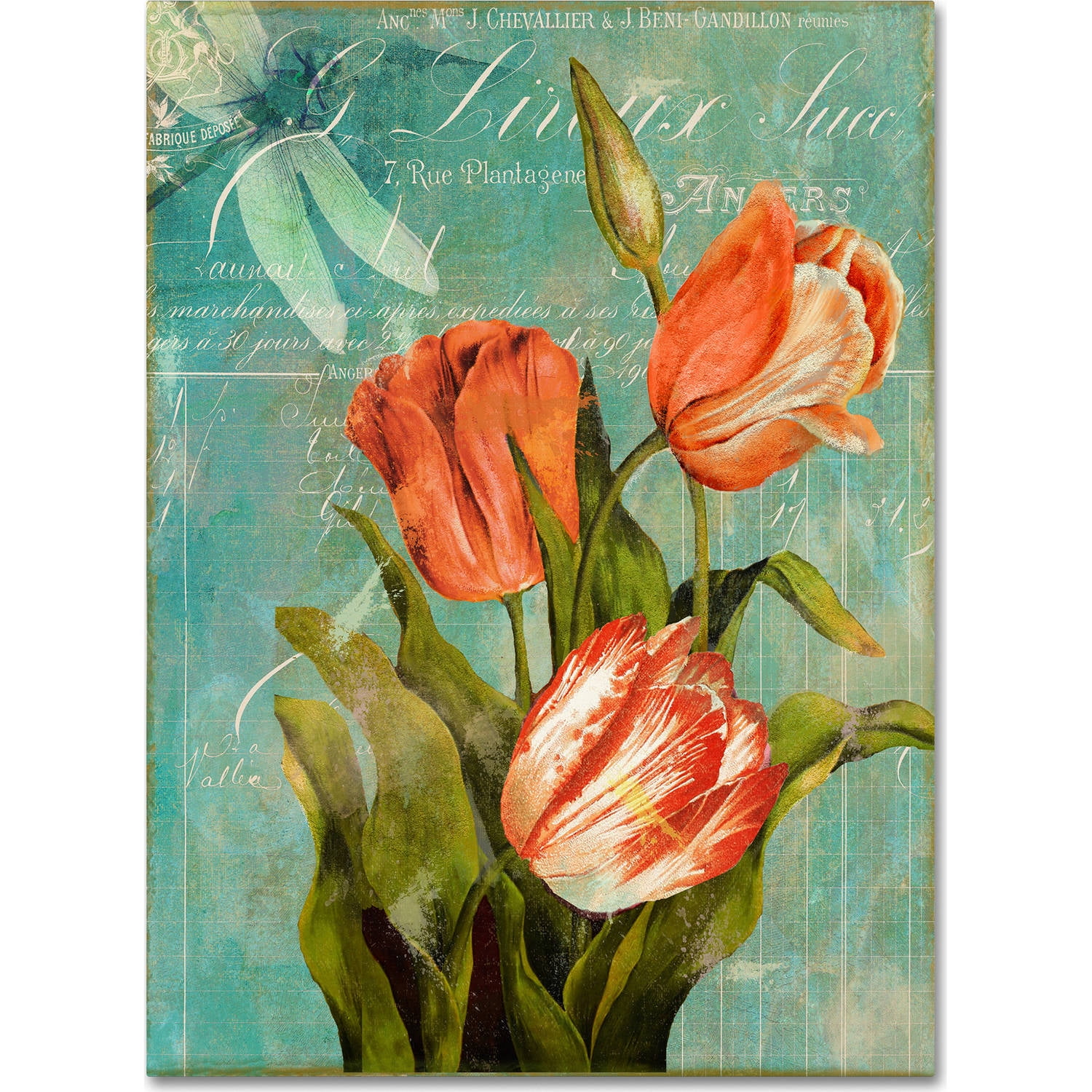 Trademark Fine Art "Tulips Ablaze III" Canvas Art by Color Bakery