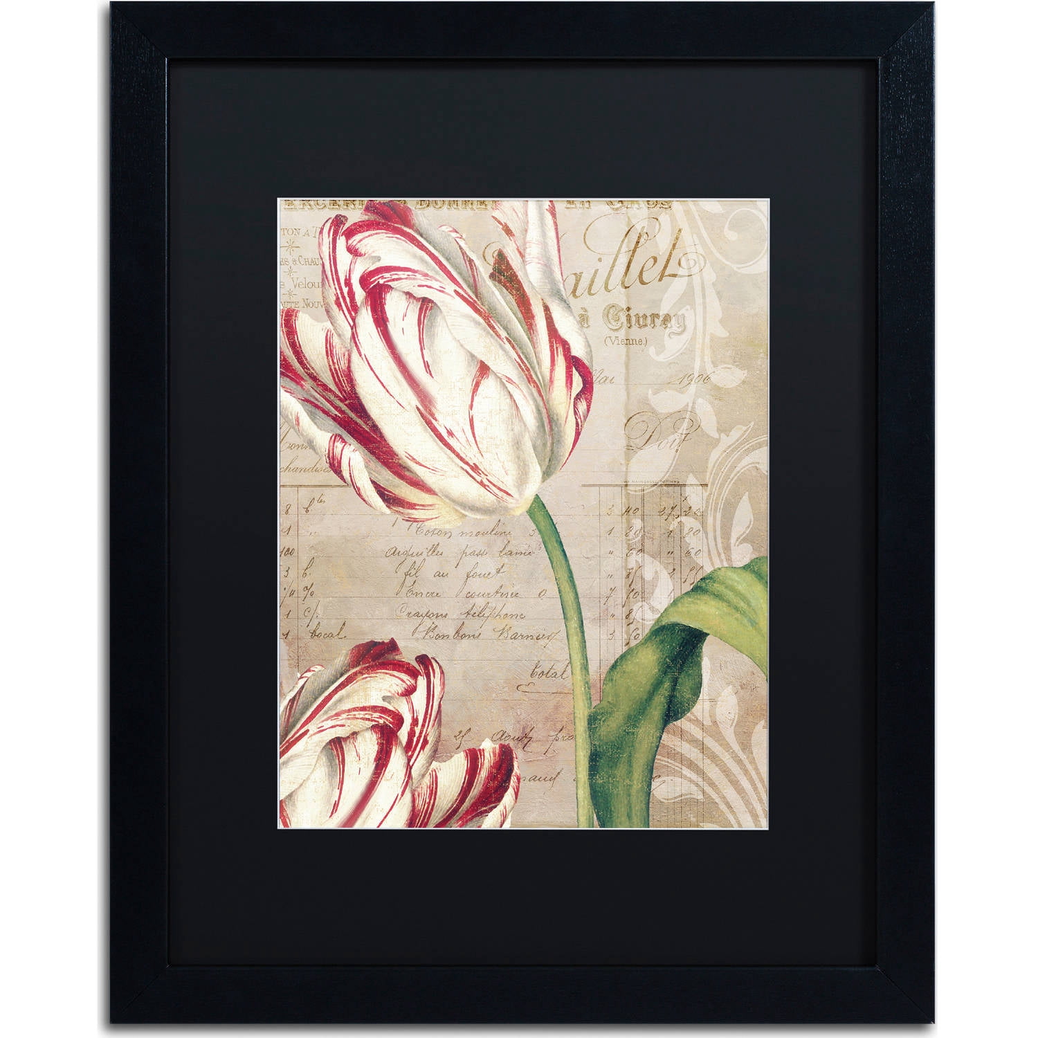Trademark Fine Art "Tulips" Canvas Art by Color Bakery, Black Matte, Black Frame