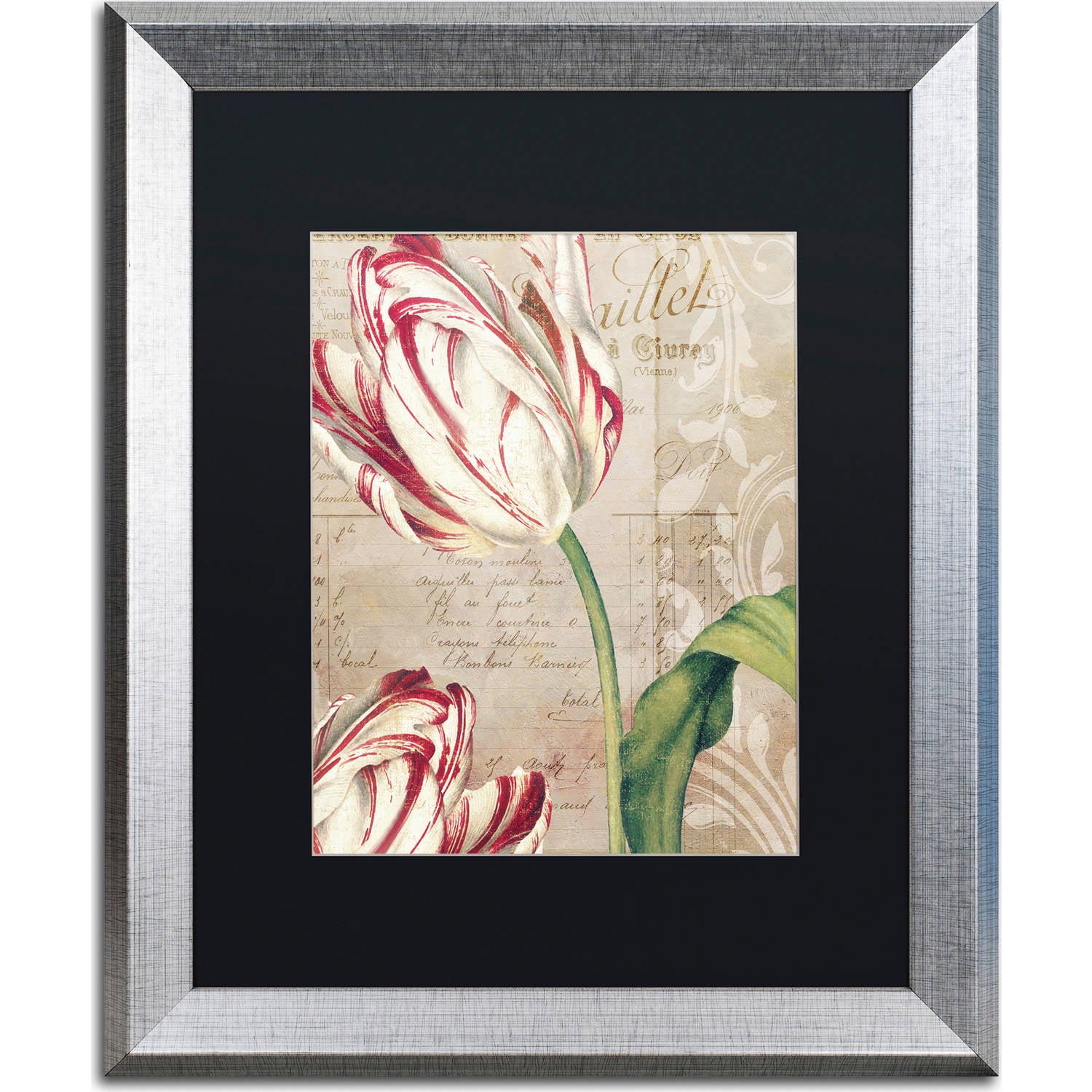 Trademark Fine Art "Tulips" Canvas Art by Color Bakery, Black Matte, Silver Frame