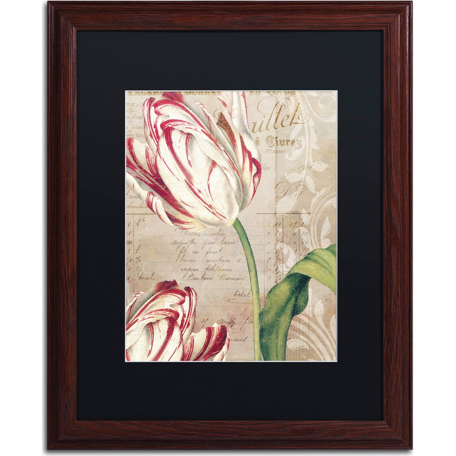 Trademark Fine Art "Tulips" Canvas Art by Color Bakery, Black Matte, Wood Frame