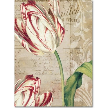 Trademark Fine Art "Tulips" Canvas Art by Color Bakery