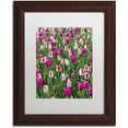 thumbnail image 1 of Trademark Fine Art "Tulips" Canvas Art by Kurt Shaffer, White Matte, Wood Frame, 1 of 1