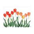 thumbnail image 1 of Trademark Fine Art 'Tulips' Canvas Art by Nicky Kumar, 1 of 4