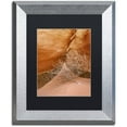 thumbnail image 1 of Trademark Fine Art 'Tumbleweed' Canvas Art by Michael Blanchette Photography, Black Matte, Silver Frame, 1 of 4