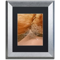Trademark Fine Art 'Tumbleweed' Canvas Art by Michael Blanchette Photography, Black Matte, Silver Frame