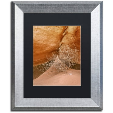 Trademark Fine Art 'Tumbleweed' Canvas Art by Michael Blanchette Photography, Black Matte, Silver Frame