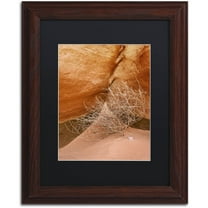 Trademark Fine Art 'Tumbleweed' Canvas Art by Michael Blanchette Photography, Black Matte, Wood Frame