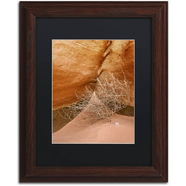 Trademark Fine Art 'Tumbleweed' Canvas Art by Michael Blanchette Photography, Black Matte, Wood Frame