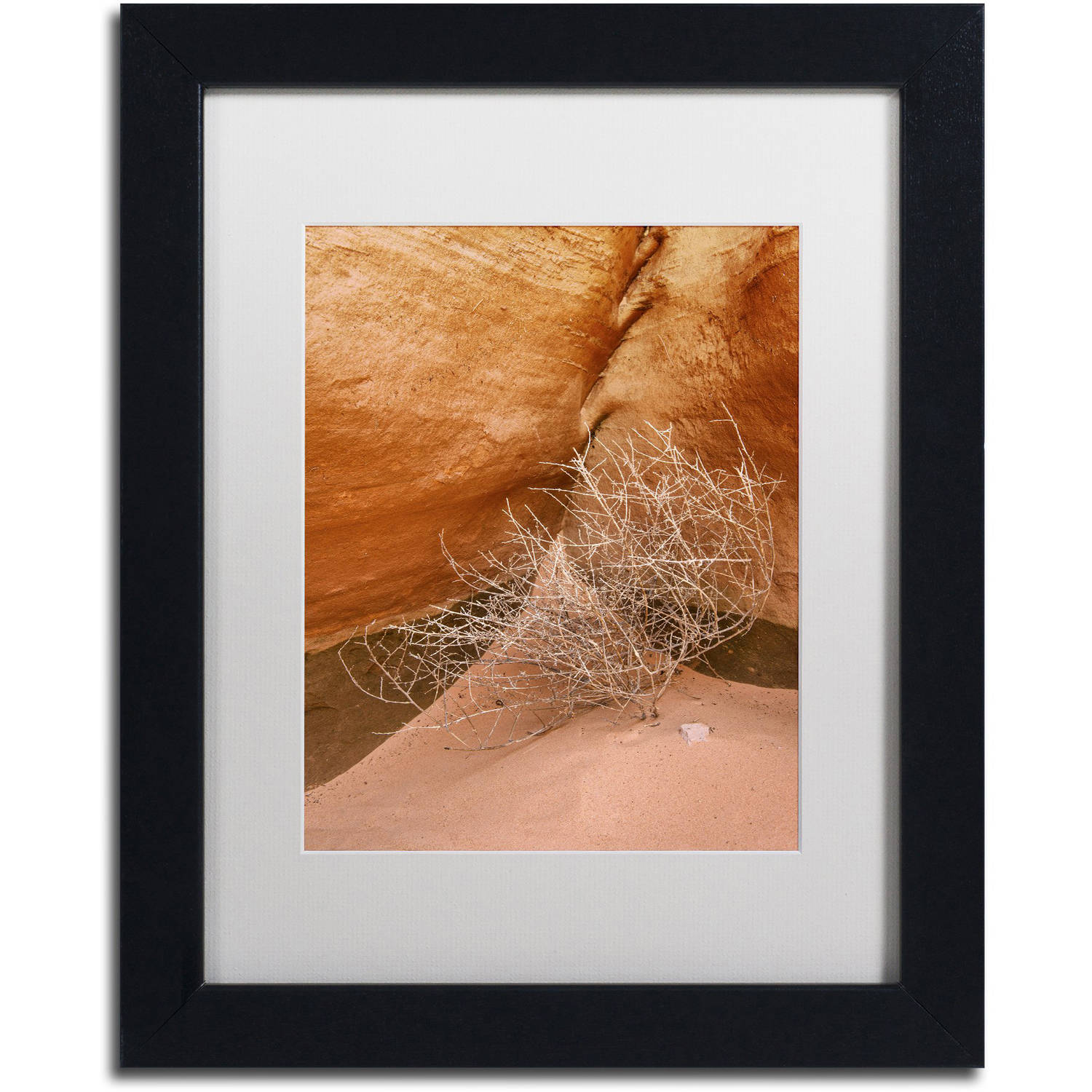 Trademark Fine Art 'Tumbleweed' Canvas Art by Michael Blanchette Photography, White Matte, Black Frame