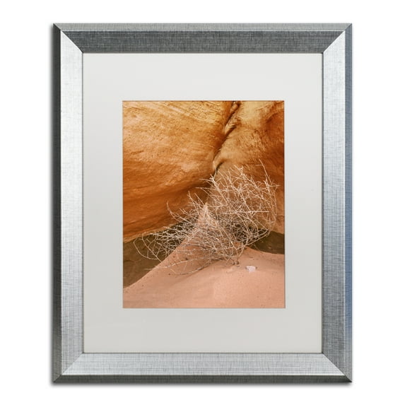 Trademark Fine Art 'Tumbleweed' Silver Framed Art by Michael Blanchette Photography