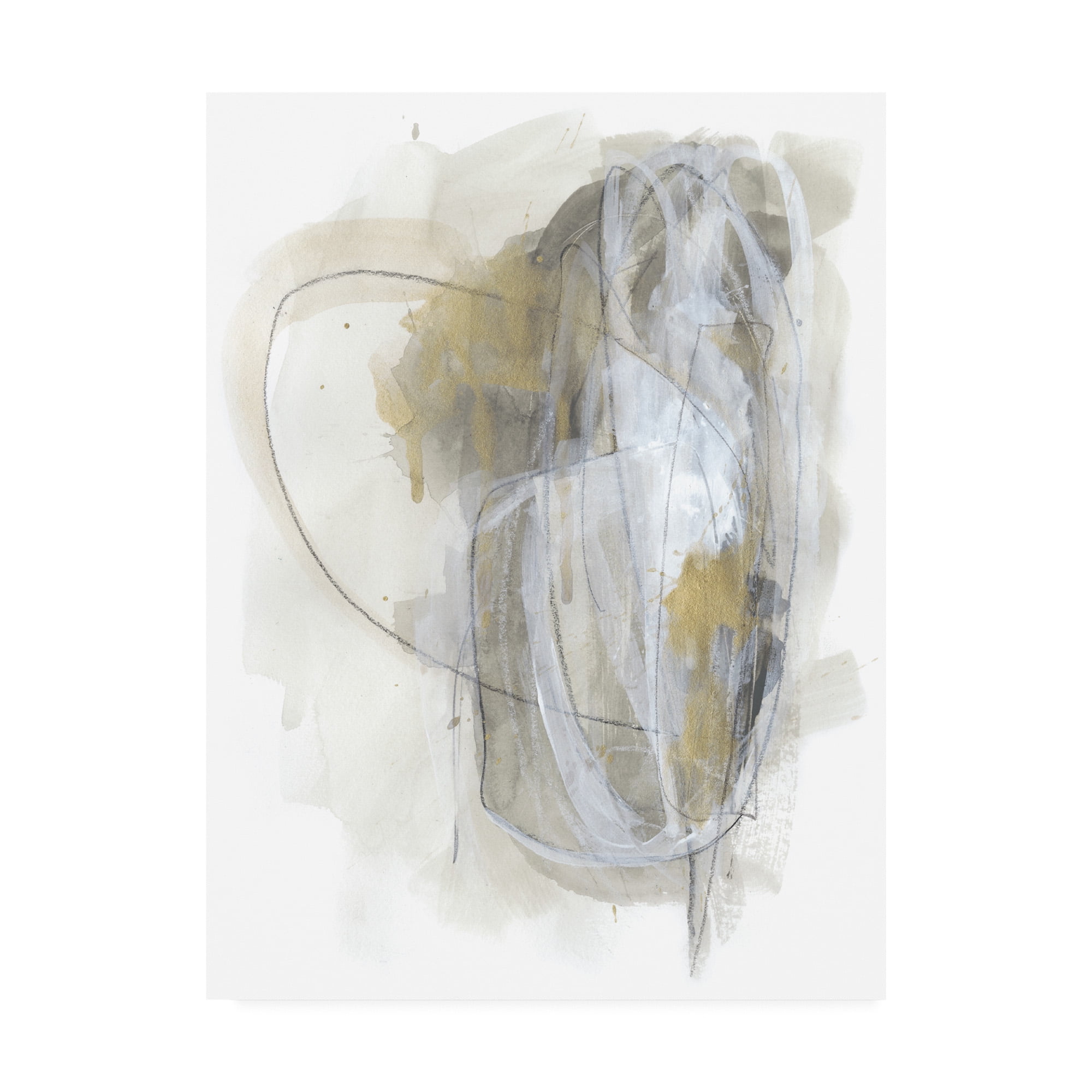 Trademark Fine Art 'Turbulent II' Canvas Art by June Erica Vess