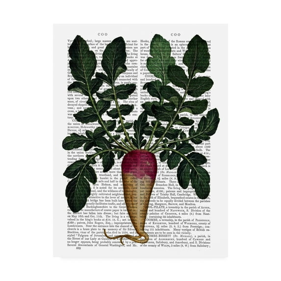 Trademark Fine Art 'Turnip Book Page' Canvas Art by Fab Funky