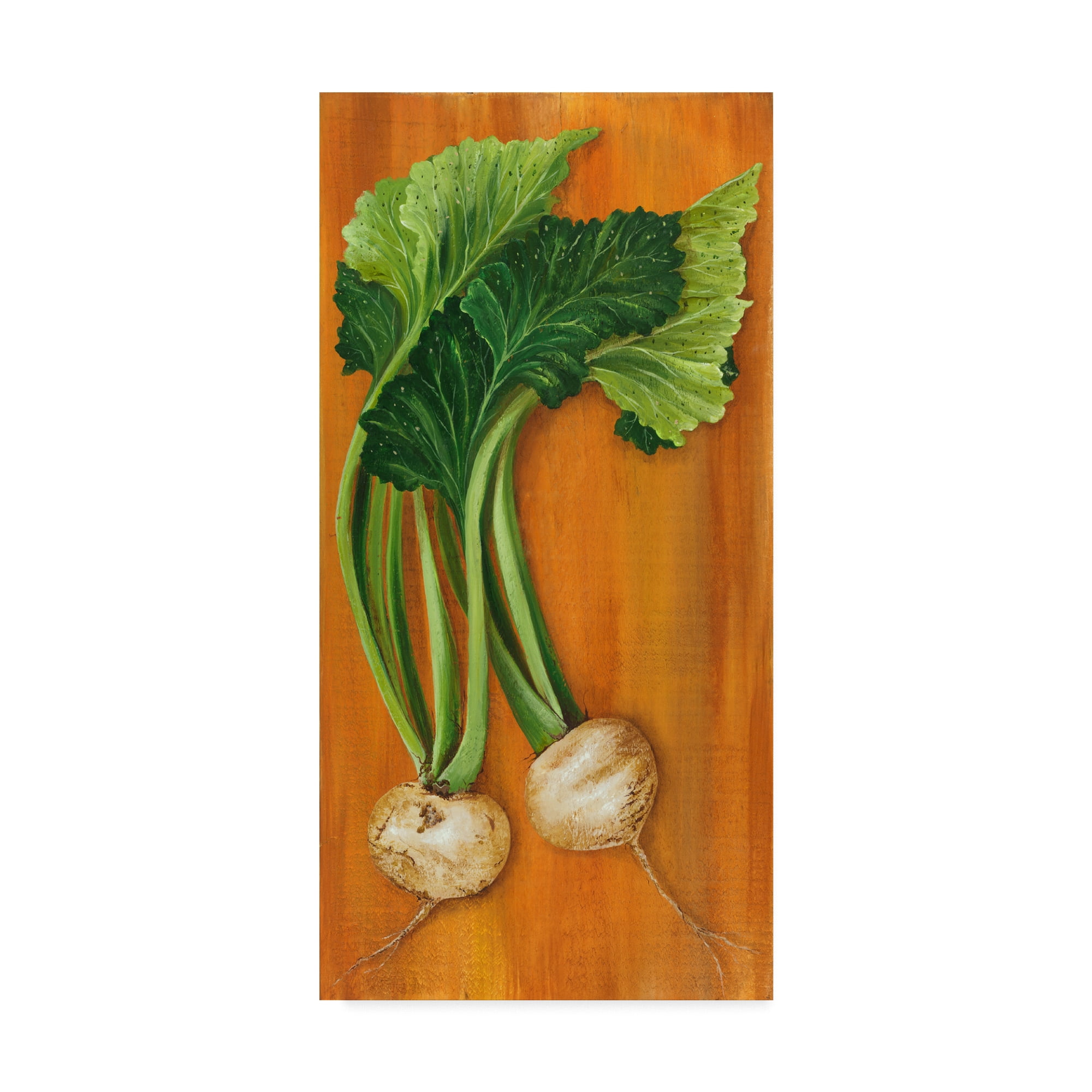 Trademark Fine Art 'Turnip' Canvas Art by Gigi Begin