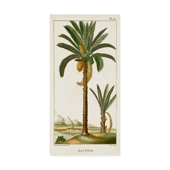 Trademark Fine Art 'Turpin Exotic Palms IV' Canvas Art by Turpin