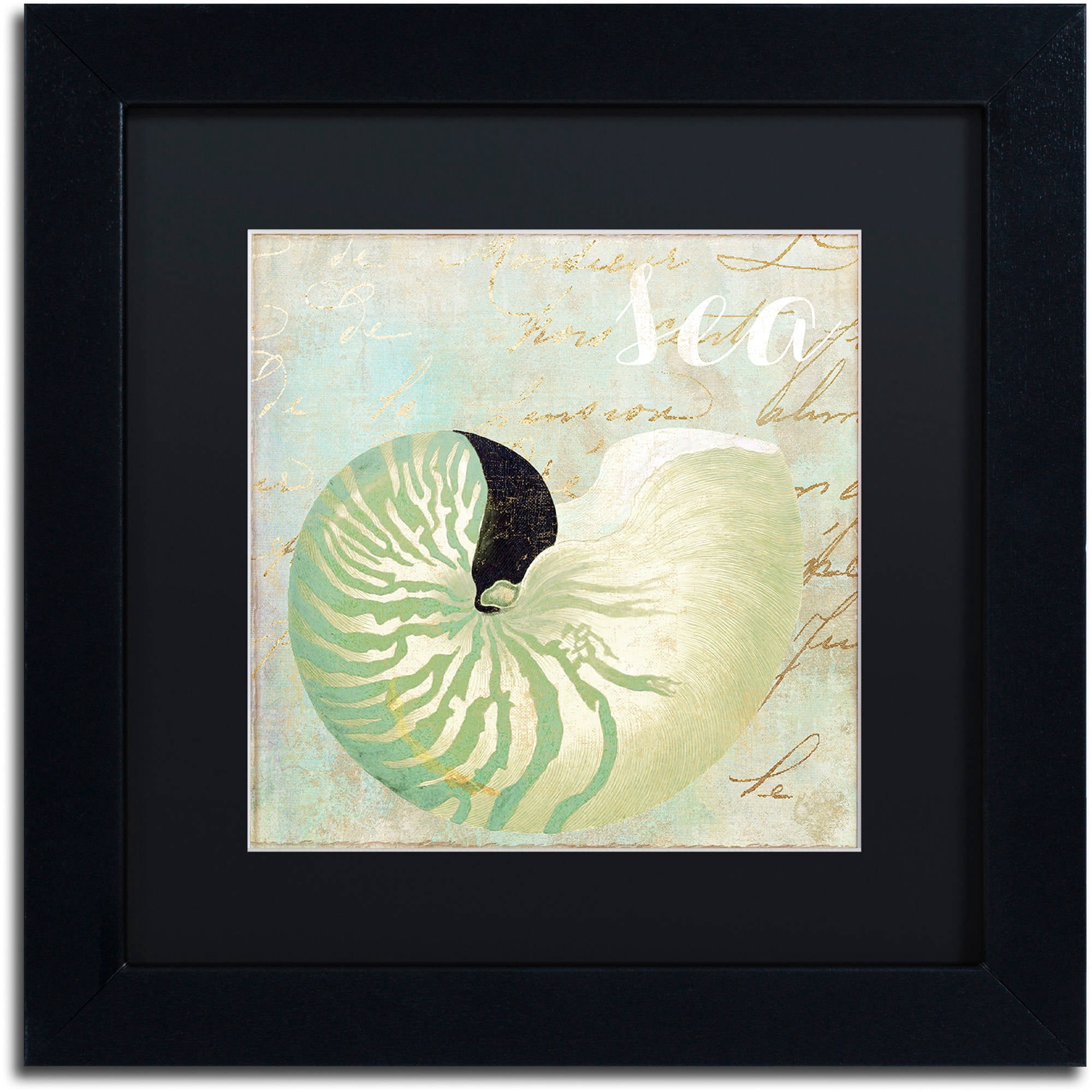 Trademark Fine Art "Turquoise Beach I" Canvas Art by Color Bakery Black Matte, Black Frame